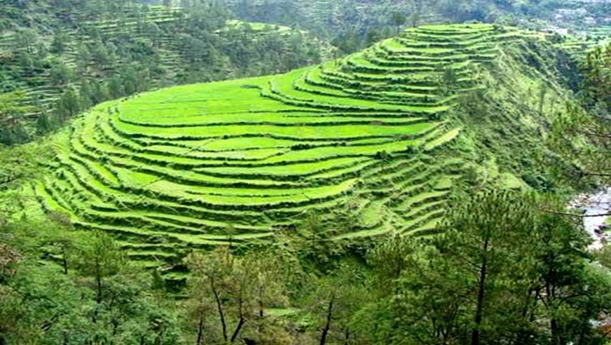 Nainital Ranikhet Almora Tour